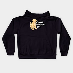 C Mom Dave Pick Me Up Kids Hoodie